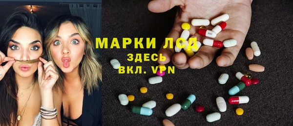 индика Алексеевка
