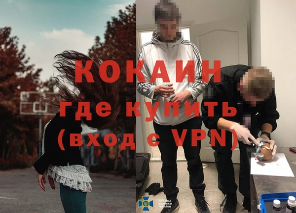индика Алексеевка