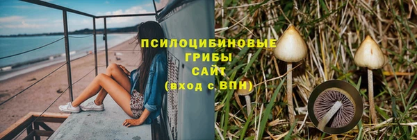 тгк Алексин
