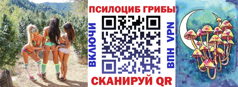 Галлюциногенные грибы MAGIC MUSHROOMS  mega ONION  Котельники 